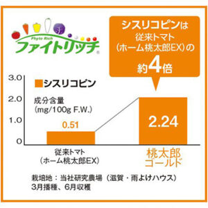 即納　トマト 桃太郎ゴールド 実生苗 9cmポット(PVP） - 画像 (2)