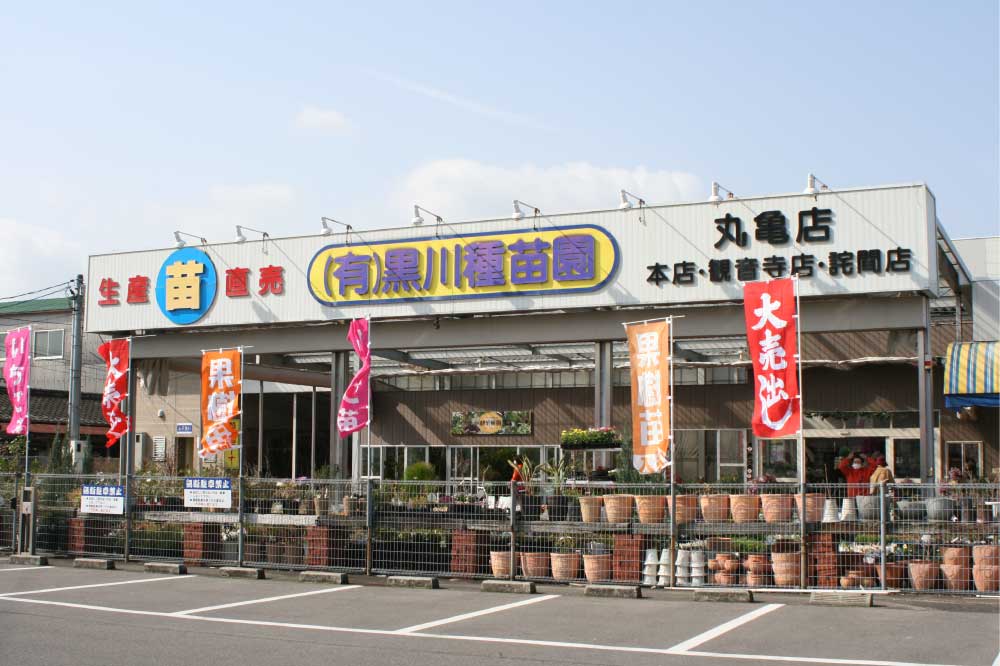 丸亀店